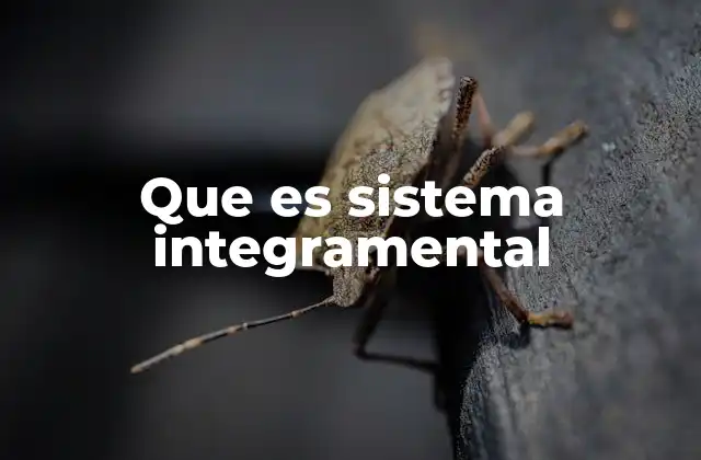 Que es Sistema Integramental