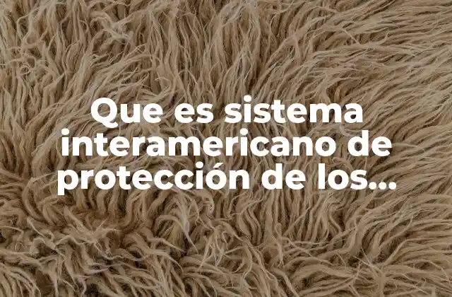 Que es Sistema Interamericano de Protección de los Derechos Humanos