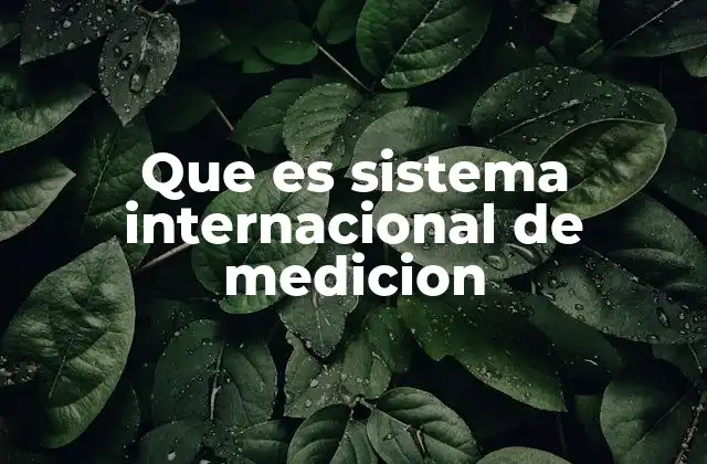 Que es Sistema Internacional de Medicion