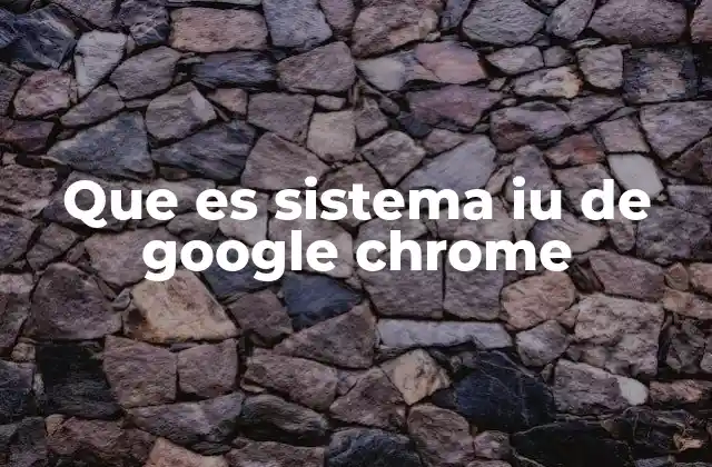 Que es Sistema Iu de Google Chrome