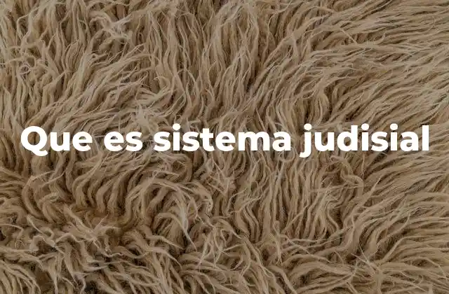 Que es Sistema Judisial