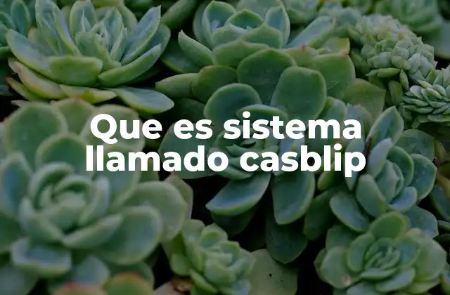 Características de los sistemas similares a Casblip