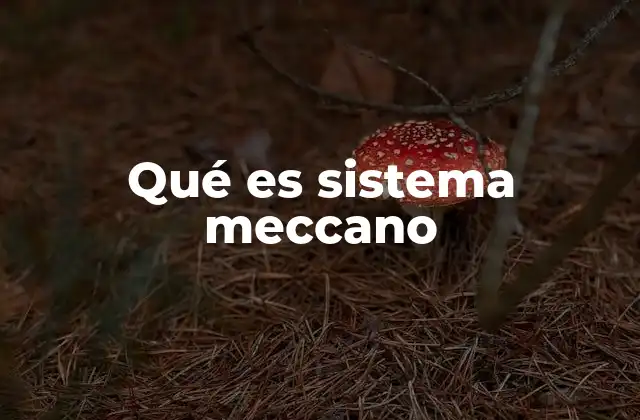 Qué es Sistema Meccano