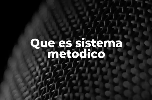 Que es Sistema Metodico