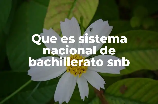 Que es Sistema Nacional de Bachillerato Snb 2 La importancia del Sistema Nacional de Bachillerato en la educación mexicana