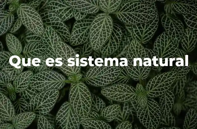 Que es Sistema Natural