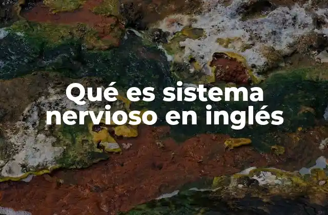 Qué es Sistema Nervioso en Inglés