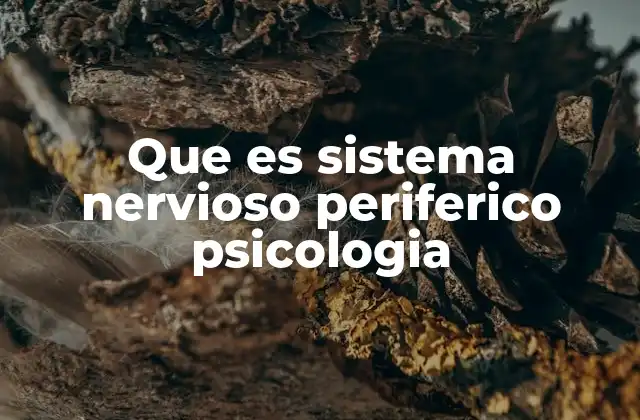 El sistema nervioso periférico y su relación con la psicología cognitiva