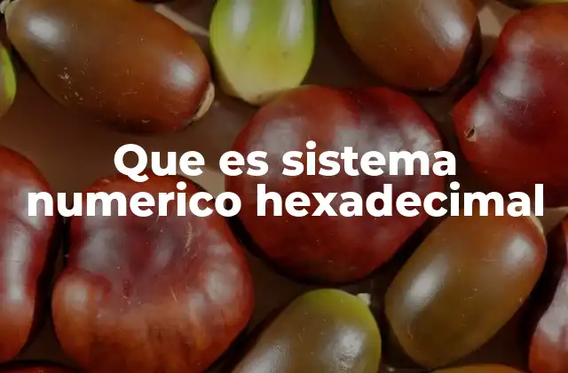 Que es Sistema Numerico Hexadecimal