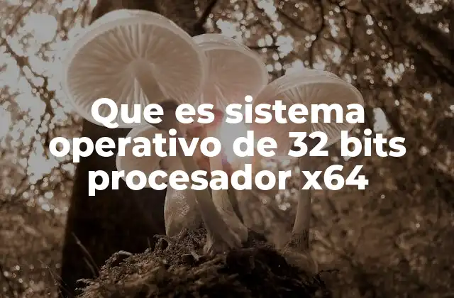Que es Sistema Operativo de 32 Bits Procesador X64