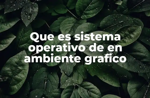 Que es Sistema Operativo de en Ambiente Grafico