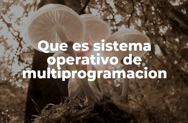 Que es Sistema Operativo de Multiprogramacion
