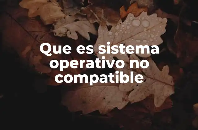 Que es Sistema Operativo No Compatible