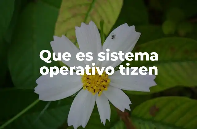 Que es Sistema Operativo Tizen