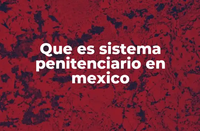 Que es Sistema Penitenciario en Mexico