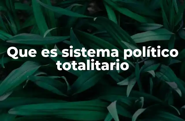 Que es Sistema Político Totalitario