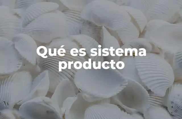 Qué es Sistema Producto