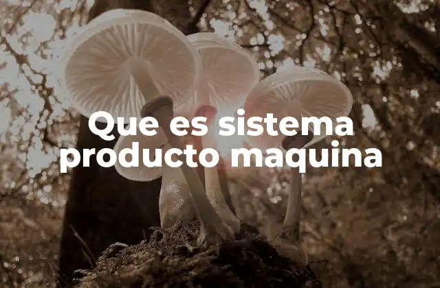 Que es Sistema Producto Maquina