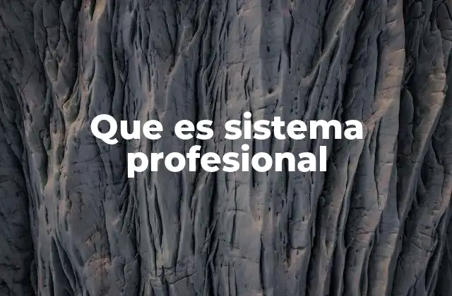Que es Sistema Profesional