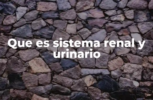 Que es Sistema Renal y Urinario