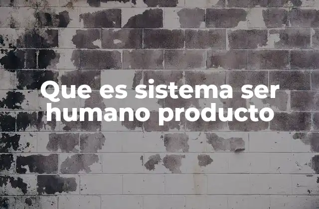 Que es Sistema Ser Humano Producto