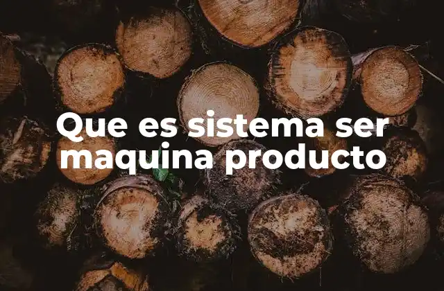 Que es Sistema Ser Maquina Producto