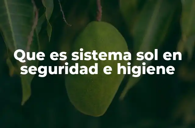La importancia de integrar el sistema SOL en el entorno laboral