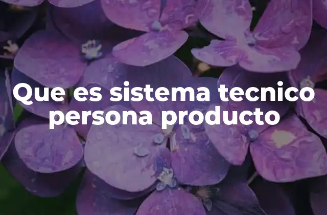 La importancia de considerar al usuario en el sistema técnico