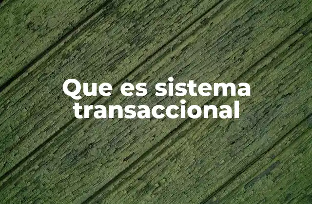 Que es Sistema Transaccional