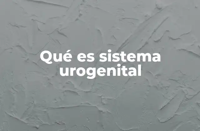 Qué es Sistema Urogenital