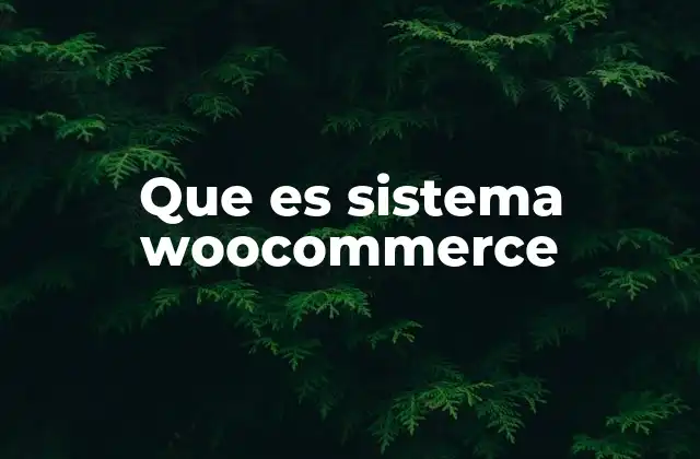 Que es Sistema Woocommerce
