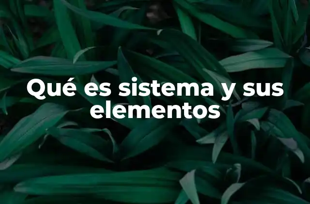 Componentes estructurales de un sistema