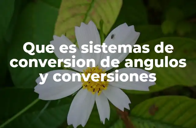 Que es Sistemas de Conversion de Angulos y Conversiones 2 Sistemas de medición angular y su importancia en la ciencia