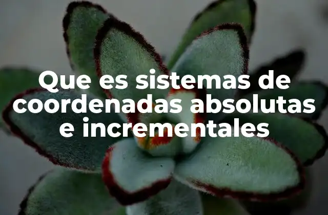 Que es Sistemas de Coordenadas Absolutas e Incrementales