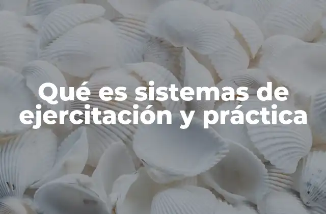 La importancia de la práctica en el aprendizaje