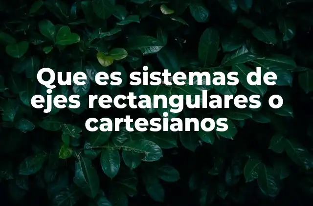 Que es Sistemas de Ejes Rectangulares o Cartesianos 2 La importancia del sistema cartesiano en la geometría analítica