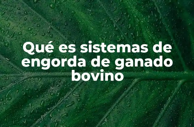 Qué es Sistemas de Engorda de Ganado Bovino
