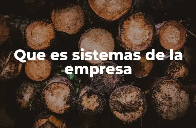 Que es Sistemas de la Empresa