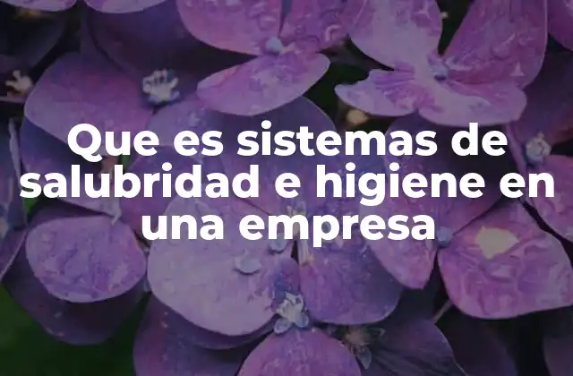 Que es Sistemas de Salubridad e Higiene en una Empresa