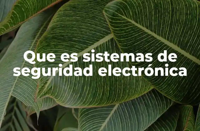 Que es Sistemas de Seguridad Electrónica