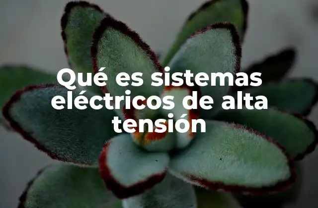 Qué es Sistemas Eléctricos de Alta Tensión