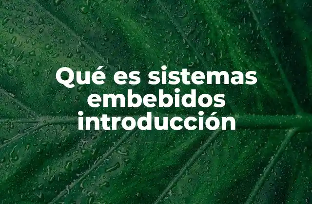 Qué es Sistemas Embebidos Introducción