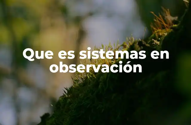 Que es Sistemas en Observación