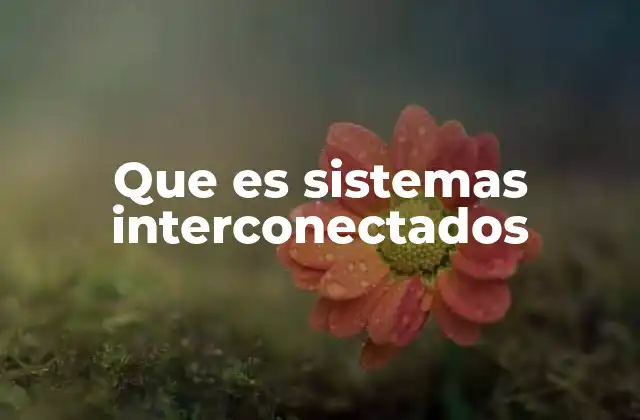 Que es Sistemas Interconectados