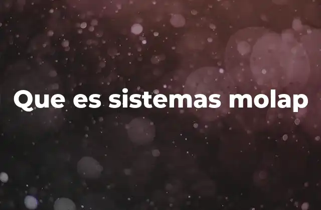 Que es Sistemas Molap