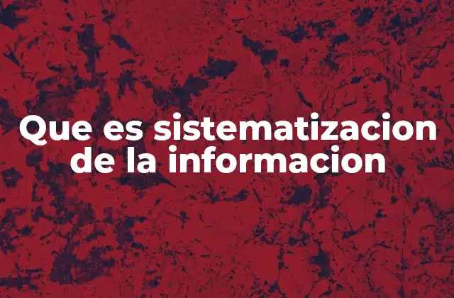 Que es Sistematizacion de la Informacion