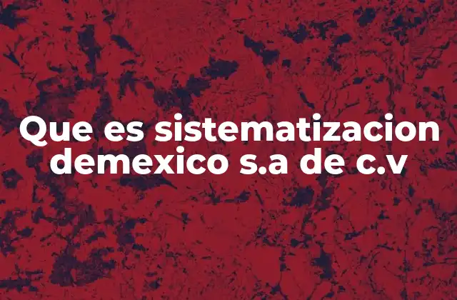 Que es Sistematizacion Demexico S.a de C.v