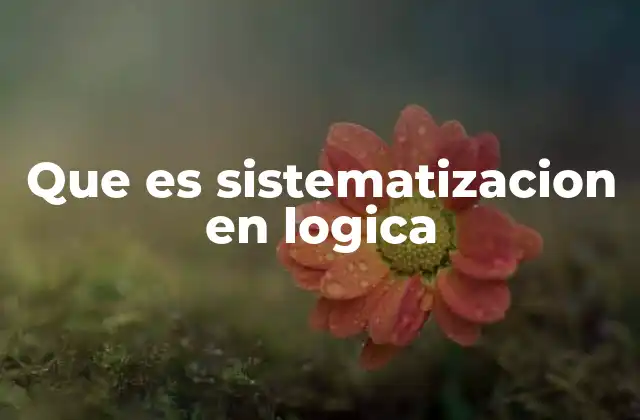 Que es Sistematizacion en Logica