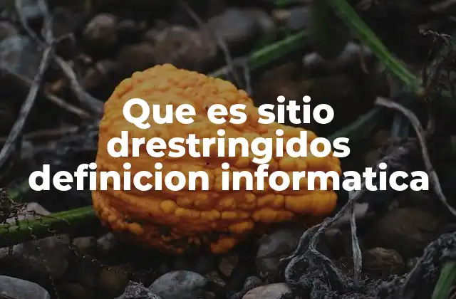Que es Sitio Drestringidos Definicion Informatica