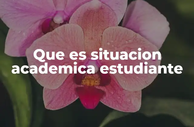 Que es Situacion Academica Estudiante